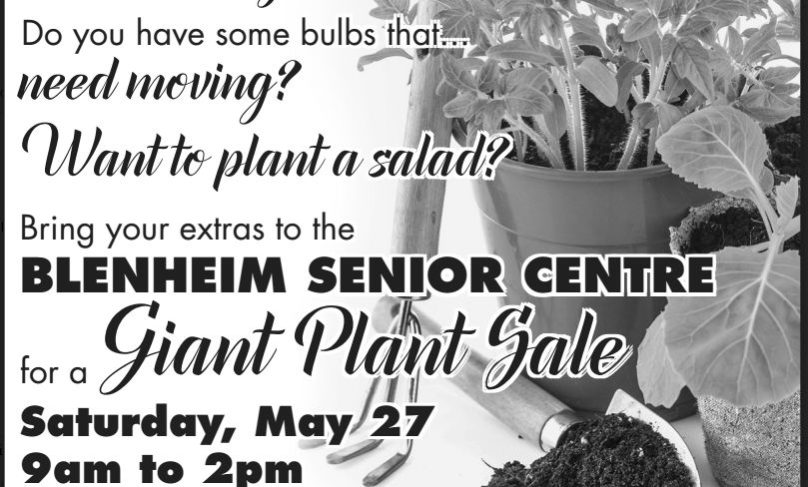 plant sale to2017